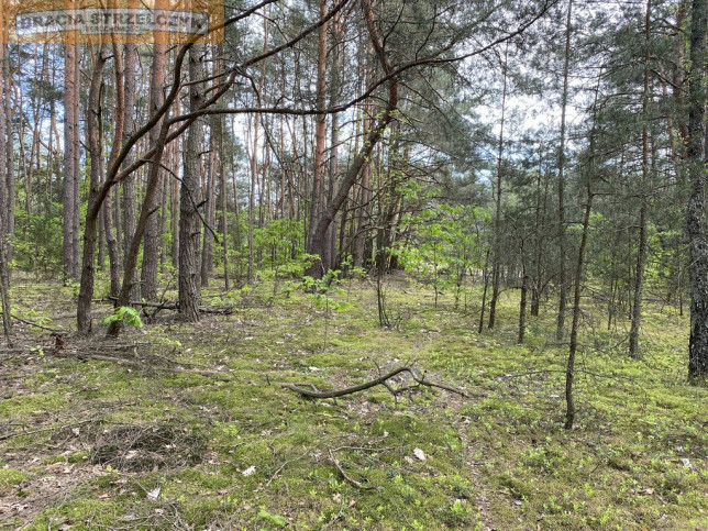 Działka Sprzedaż Wólka Mlęcka 7
